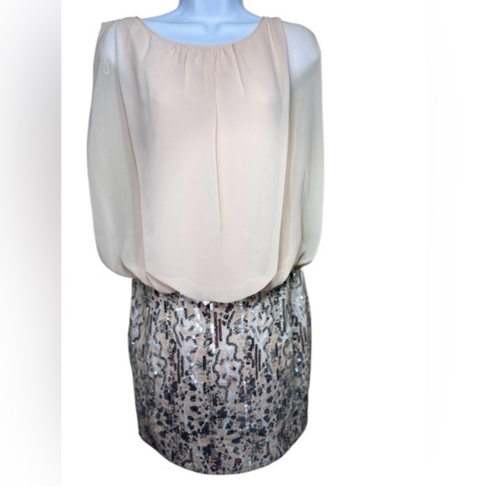 Aiden Cream Blouse with Sequin Skirt
